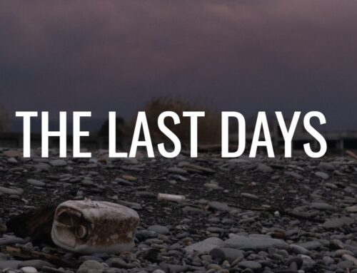 In The Last Days …